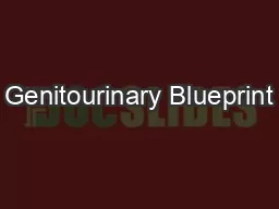 Genitourinary Blueprint