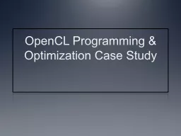 OpenCL Programming & Optimization Case Study
