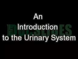 An Introduction to the Urinary System