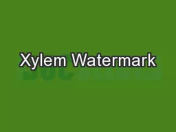 Xylem Watermark