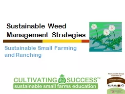 Sustainable Weed Management Strategies