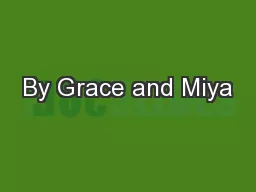 By Grace and Miya