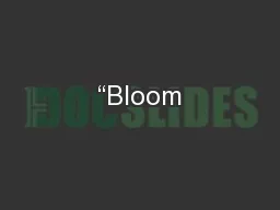 “Bloom