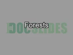 Forests