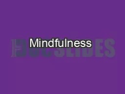 Mindfulness & Movement Therapy