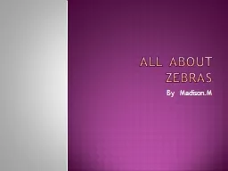All  about  Zebras