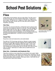 Flies Schools often run into prob lems with many types