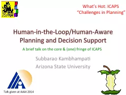 Human-in-the-Loop/Human-Aware Planning and Decision Support