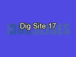 Dig Site 17