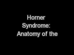 Horner Syndrome: Anatomy of the