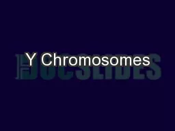 Y Chromosomes