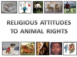 RELIGIOUS ATTITUDES