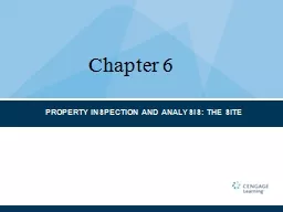PROPERTY INSPECTION AND ANALYSIS: THE SITE