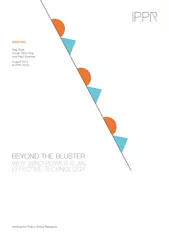 Institute for Public Policy Research BRIEFING BEYOND T