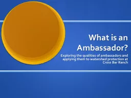 What is an Ambassador?