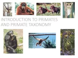 INTRODUCTION TO PRIMATES AND PRIMATE TAXONOMY