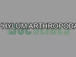 PHYLUM ARTHROPODA