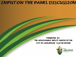 INPUT ON THE PANEL DISCUSSION