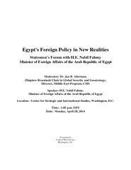 Egypts Foreign Policy in New Realities Statesmens Foru
