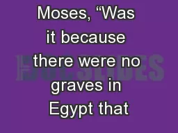 Moses, “Was it because there were no graves in Egypt that
