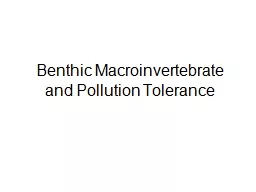 Benthic Macroinvertebrate and Pollution Tolerance