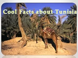 Cool Facts about Tunisia