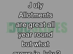 Allotments in  J uly Allotments are great all year round but what grows in July ?
