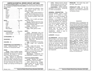 Revised  American Bobtail Breed Group Standard  AMERIC