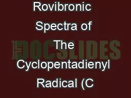 The  Rovibronic  Spectra of The Cyclopentadienyl Radical (C