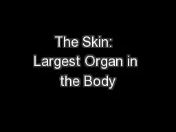 The Skin:  Largest Organ in the Body