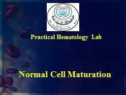 Normal Cell Maturation Practical Hematology Lab