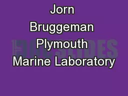 Jorn Bruggeman Plymouth Marine Laboratory