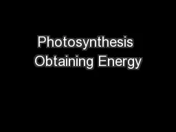 Photosynthesis Obtaining Energy