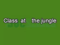 Class  at    the jungle