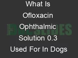 What Is Ofloxacin Ophthalmic Solution 0.3 Used For In Dogs