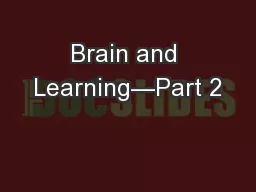 Brain and Learning—Part 2