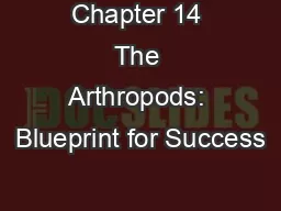 Chapter 14 The Arthropods: Blueprint for Success