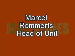 Marcel Rommerts Head of Unit