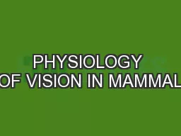 PHYSIOLOGY OF VISION IN MAMMAL