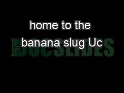 home to the banana slug Uc