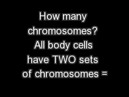 How many chromosomes? All body cells have TWO sets of chromosomes =