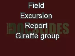Field Excursion Report Giraffe group