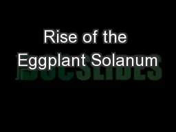 Rise of the Eggplant Solanum
