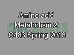 Amino acid Metabolism 2 C483 Spring 2013