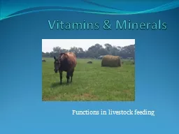 Vitamins & Minerals Functions in livestock feeding