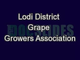 Lodi District Grape Growers Association