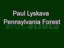 Paul Lyskava Pennsylvania Forest