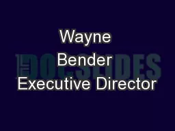 Wayne Bender Executive Director