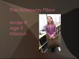 The Hideaway Pillow Andie R.