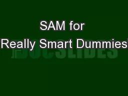 SAM for “Really Smart Dummies”